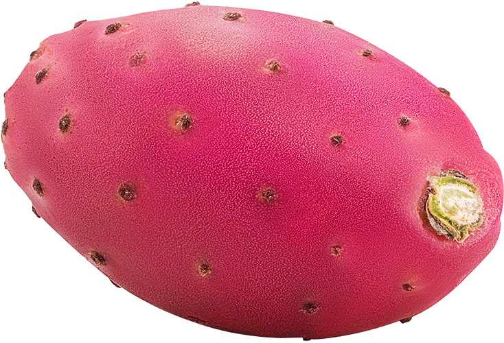 prickly pear fruit beryoma
